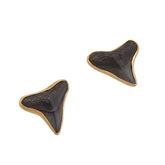 Alchemia Fossil Shark Tooth Post Earrings - Deep Force